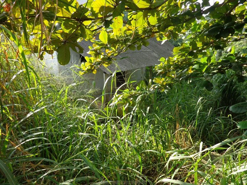Foto 1 de 5 - Terreno para venda em Santo Amaro